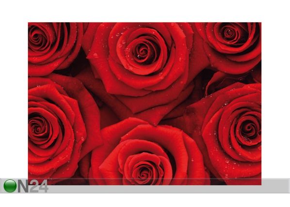 Fototapeet Sea of roses 400x280 cm