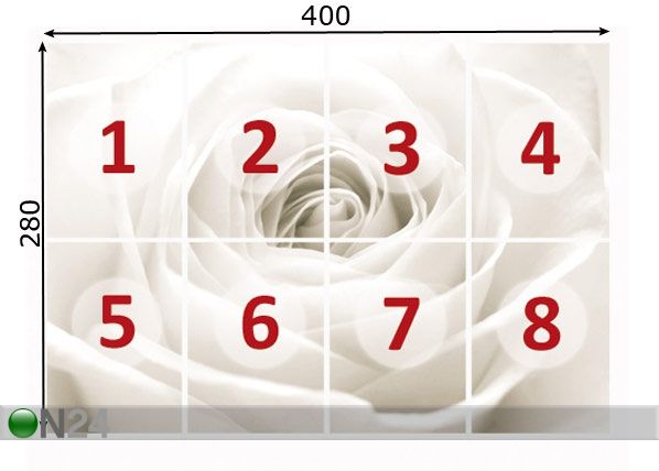 Fototapeet The white rose 400x280 cm mõõdud