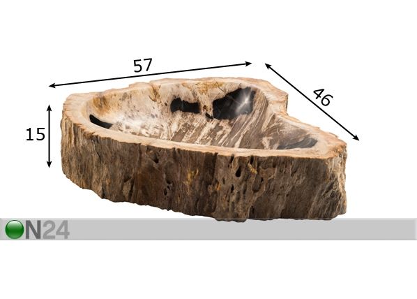 Kivistunud puidust valamu mõõdud