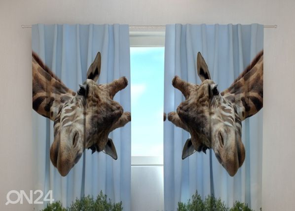 Läbipaistev kardin Giraff 240x220 cm