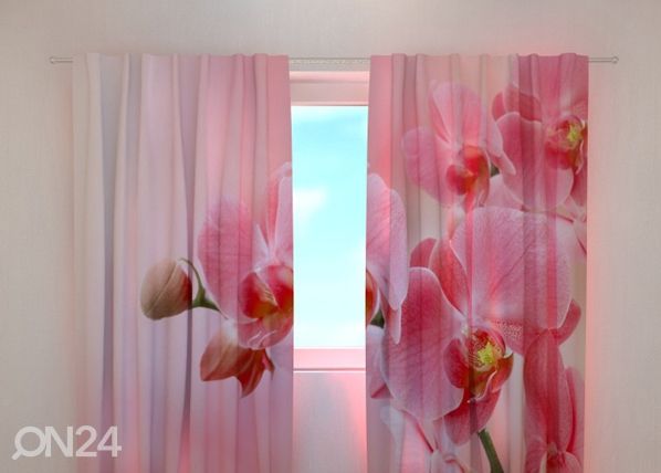 Läbipaistev kardin Pink orchid 240x220 cm