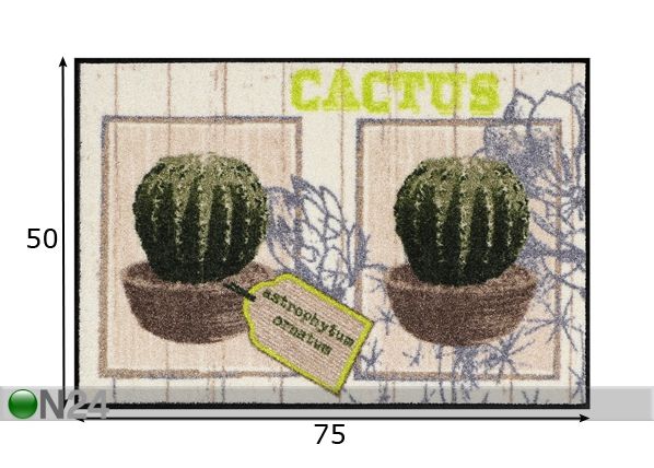 Vaip Cactus 50x75 cm mõõdud