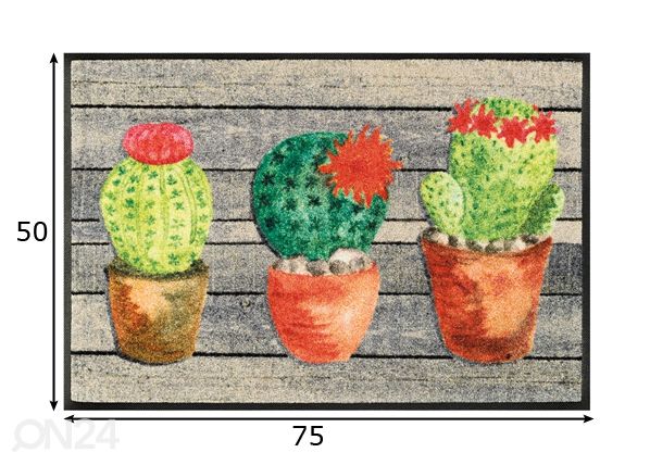 Vaip Jardin de Cactus 50x75 cm mõõdud