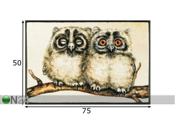 Vaip Two Owls 50x75 cm mõõdud