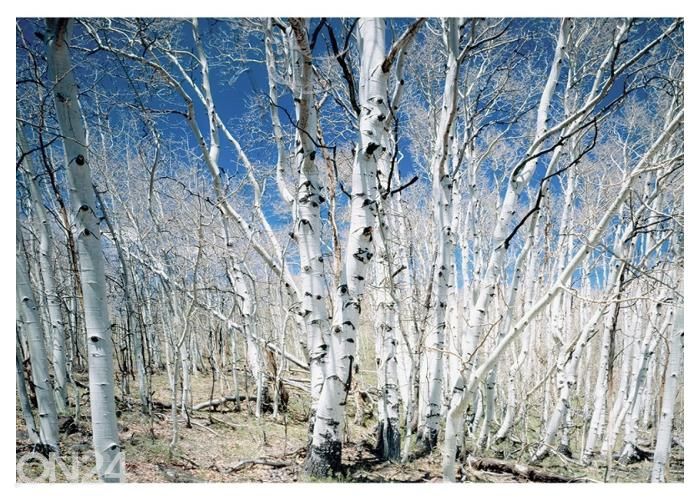Fliis fototapeet Birches in Utah Dixie National Park 368x254 cm suurendatud