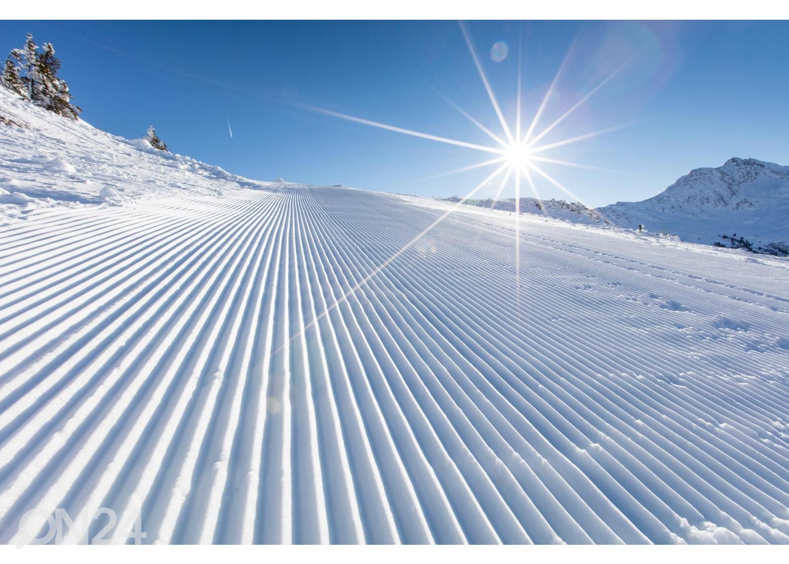 Fliis fototapeet Ski Slope And Sunny Day suurendatud