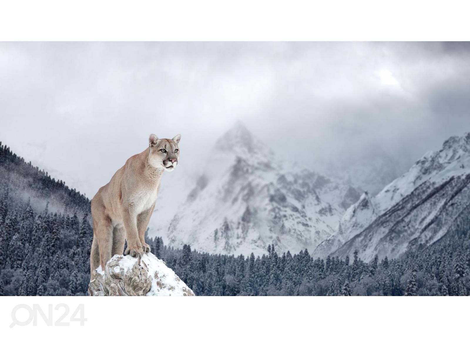 Isekleepuv fototapeet Portrait Of A Cougar suurendatud
