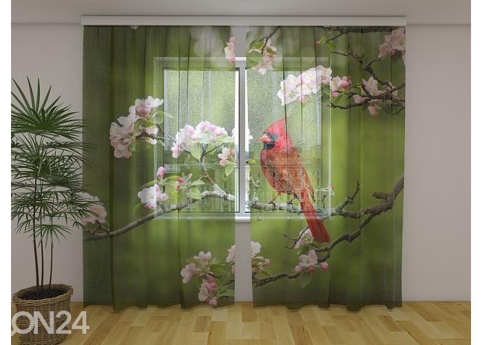 Läbipaistev fotokardin Bird Cardinal on a Spring Twig 240x220 cm suurendatud