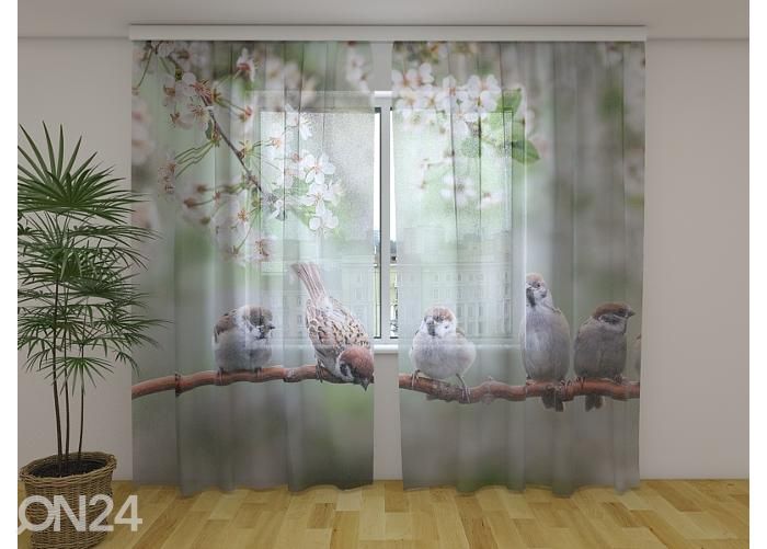 Läbipaistev fotokardin Small Birds on a Blooming Tree 240x220 cm suurendatud