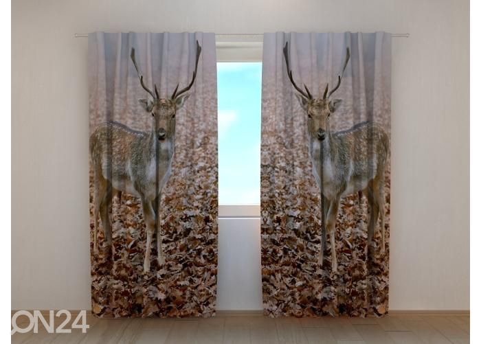 Pimendav fotokardin Young Deer in Autumn Forest 240x220 cm suurendatud
