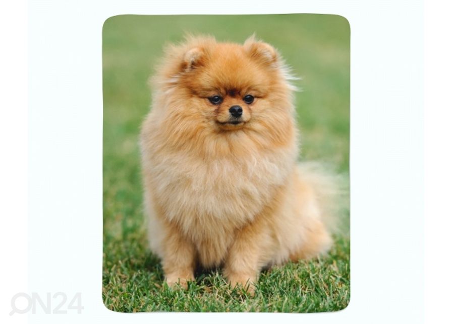 Pleed Pomeranian Dog 130x150 cm suurendatud