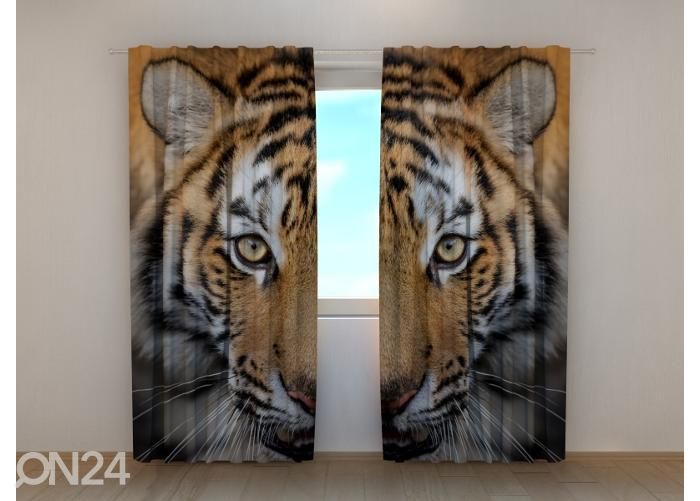 Poolpimendav fotokardin Siberian Tiger 240x220 cm suurendatud