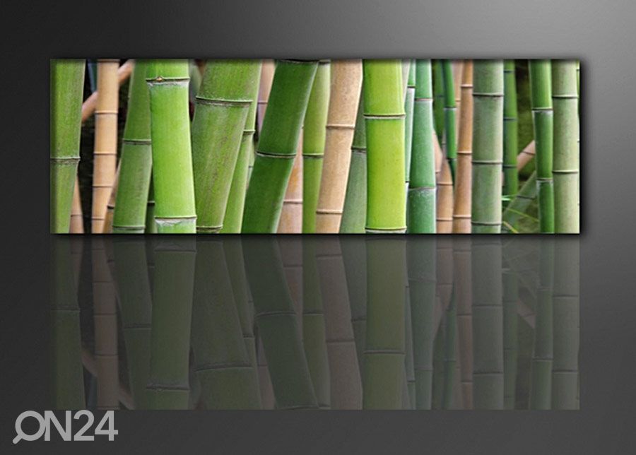 Seinapilt Bambus 120x40cm suurendatud