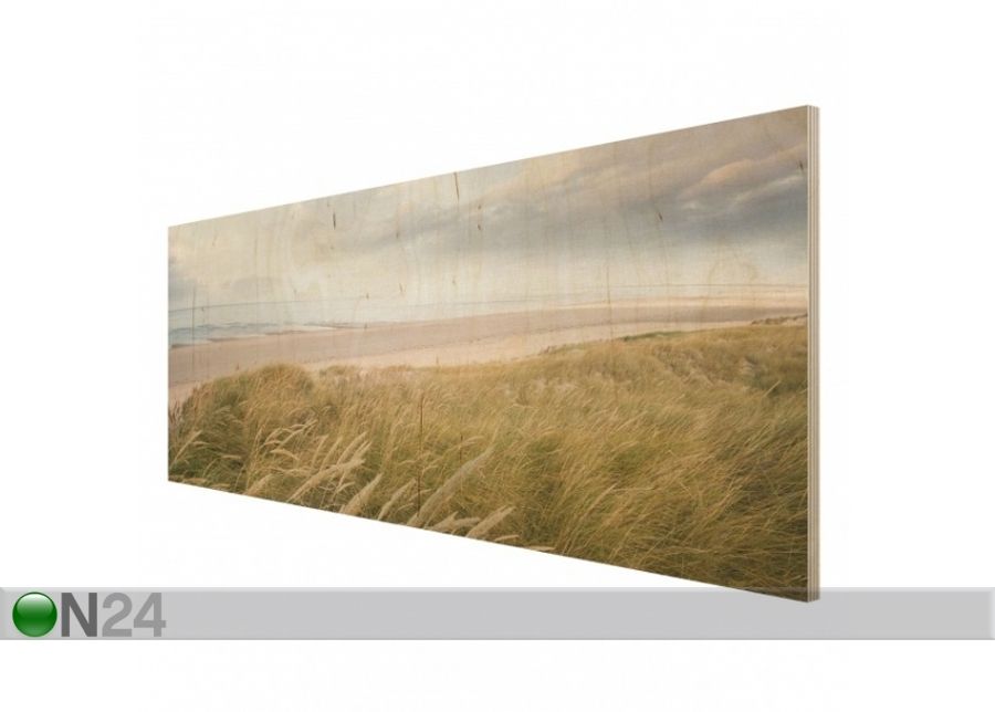 Seinapilt puidul Dunes dream 40x100 cm suurendatud