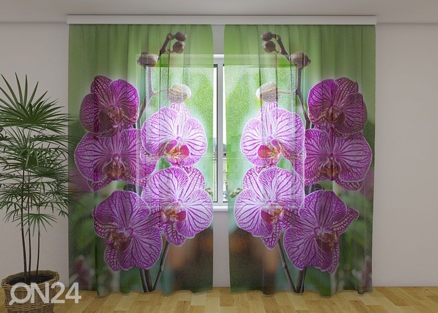 Šifoon-fotokardin Babylon orchid 240x220 cm suurendatud