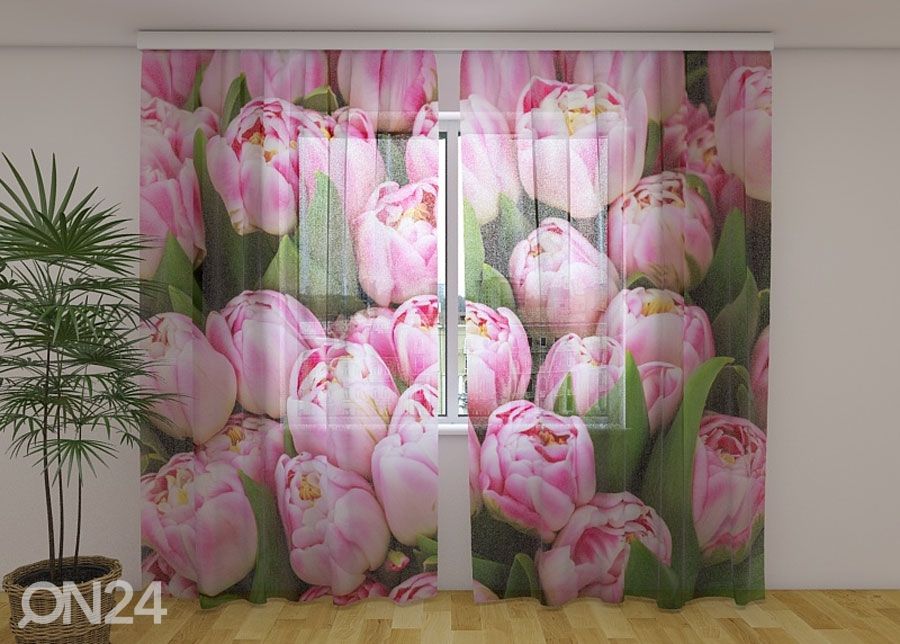 Šifoon-fotokardin Marvelous tulips 240x220 cm suurendatud