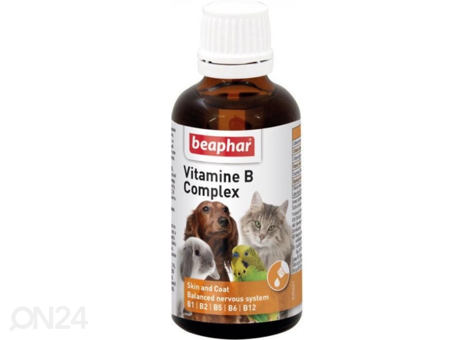 Söödalisand Beaphar Vitamine B Komplex 50 ml suurendatud