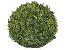 Pukspuu pall M 35cm SH-11367