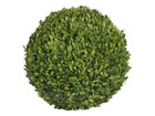 Pukspuu pall XL 70cm SH-11369