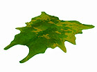 Veisenahk roheline 210x230 cm TE-12035