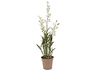Valge Orhidee dendroobium 110 cm SH-13604
