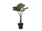Taro 90 cm SH-13689