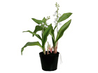 Piibeleht 25 cm SH-18001