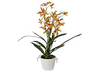 Orhidee Oncidium 85 cm SH-18022