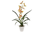 Orhidee Oncidium 75 cm SH-18023
