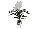Rippuv Orhidee Vanda 70 cm SH-18037