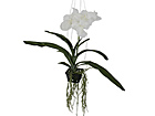 Rippuv Orhidee Vanda 46 cm SH-18040