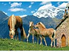 Ravensburger puzzle 60x84 cm RO-19090