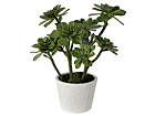 Succulent 60 cm SH-20536