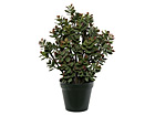 Rahapuu potis 52 cm SH-20540