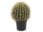 Kaktus potis 44 cm SH-20542