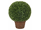 Pukspuu pall 53 cm SH-20545