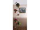 Lilleredel Daisy MO-23457