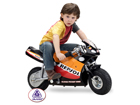Injusa elektrimootorratas Pocket Bike RC-24226