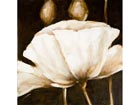 &Otilde;limaal l&otilde;uendil 80x80 cm AL-24337