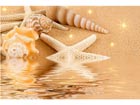 Pilt Starfish and Seashells on Golden Sand