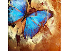 Pilt Grunge Style With Blue Butterfly 80x83 cm NW-27925