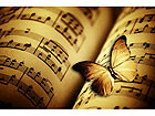 Pilt Open Music Book and a Butterfly 75x50 cm NW-27926