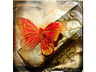 Pilt Grunge Illustration of Red Butterfly 60x62 cm NW-27927