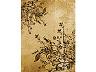 Pilt Ancient Parchment 60x80 cm NW-27928