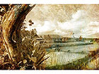 Pilt Balinese Rice Fields 75x50 cm NW-27934