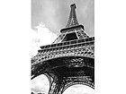 Pilt Eiffel Tower Paris 70x105 cm NW-27952