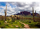 Pilt Desert Landscape