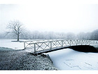 Pilt Beautiful Cold and White Winter