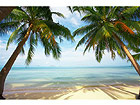 Pilt Palms on the Tropic Bay