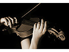 Pilt Musician Playing Violin Isolated on Black